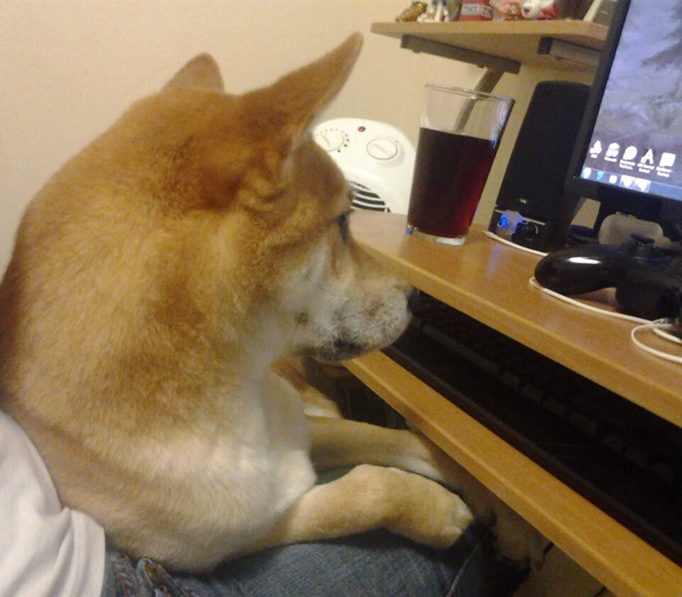 开云体育下载官网-德甲球队积极引进外援,提升整体水平,德甲球队积极引进外援,提升整体水平